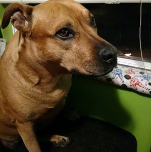 Meet your Posher, Carl